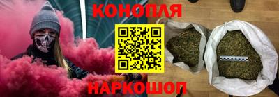 мдпв Камышлов