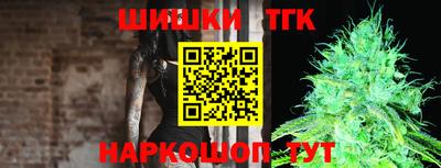 мдпв Камышлов