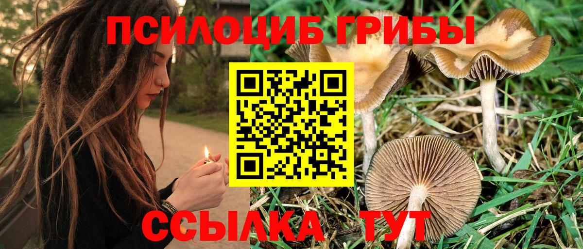 Галлюциногенные грибы Magic Shrooms  Вход с VPN  Шебекино 