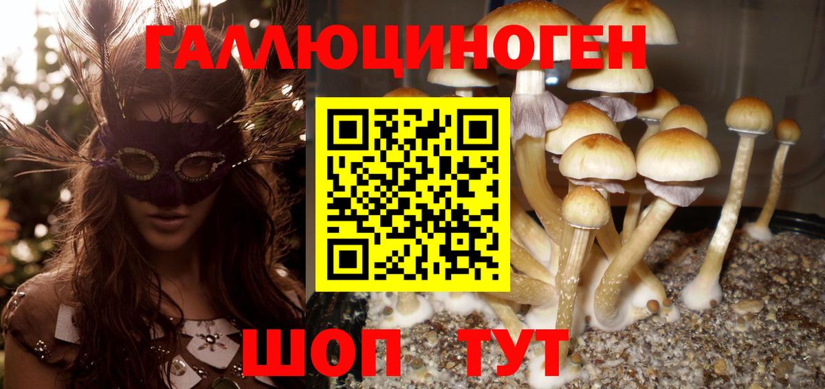 Псилоцибиновые грибы Psilocybe Шебекино